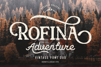 Rofina Font Design Trends and Creative Uses